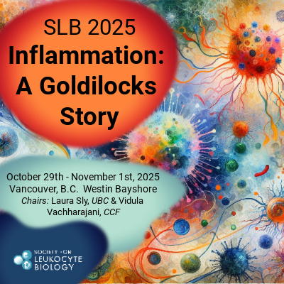 SLB 2024 Memories